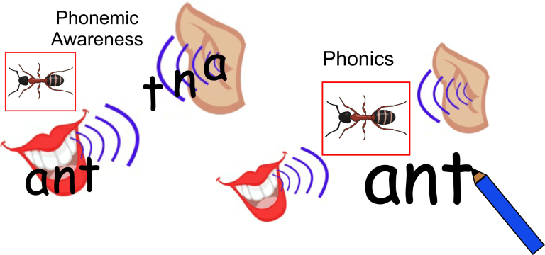 What is the difference between #phonics and #phonemic awareness?